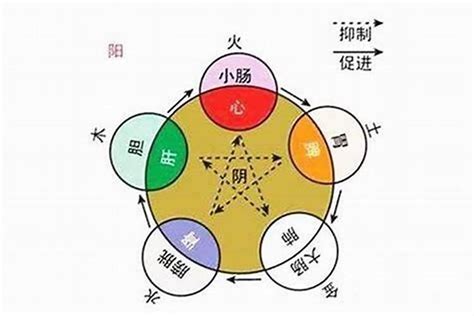 生辰八字屬性|生辰八字查询，生辰八字五行查询，五行属性查询